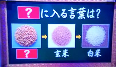 クイズ あなたは小学5年生より賢いの を振り返る Napure
