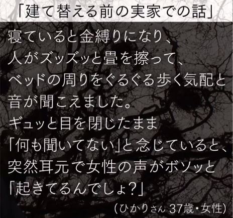 夜の巷を徘徊する マツコに聞かせたい怖い話を振り返る Napure