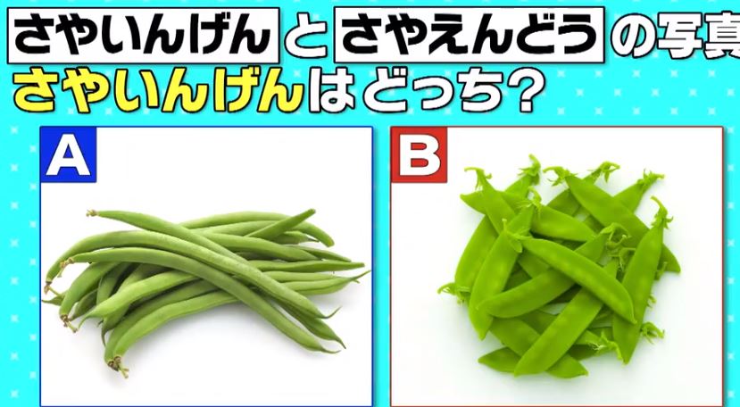 <span class="title">あなたは小学5年生より賢いの？を振り返る　百億円を稼いだテスタ</span>