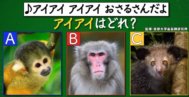 <span class="title">あなたは小学5年生より賢いの？を振り返る　タッグで1000万円３</span>