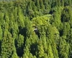 <span class="title">ポツンと一軒家を振り返る　手づくり村 相川</span>