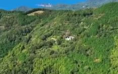 <span class="title">ポツンと一軒家×帰れマンデー見っけ隊!!を振り返る　静岡の一軒家</span>