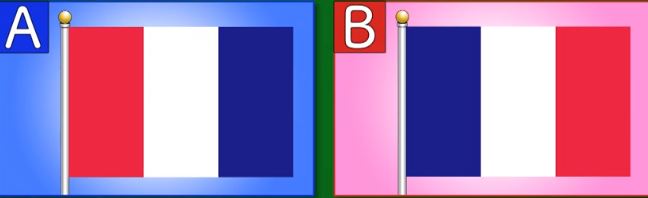 <span class="title">あなたは小学5年生より賢いの？を振り返る　羽鳥＆西尾のリベンジ</span>