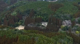 <span class="title">ポツンと一軒家を振り返る　3年前に肉牛の繁殖農家を廃業した池田家</span>