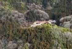 <span class="title">ポツンと一軒家を振り返る　90歳男性が造った遊び場</span>