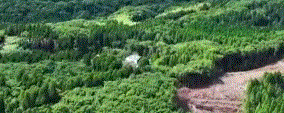 <span class="title">ポツンと一軒家を振り返る　鹿児島</span>