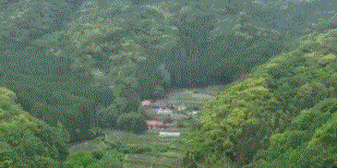 <span class="title">ポツンと一軒家を振り返る　酒米を育てるおだ家</span>