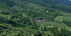 <span class="title">ポツンと一軒家を振り返る　福岡県の柿農家</span>
